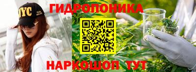 гидра Можга