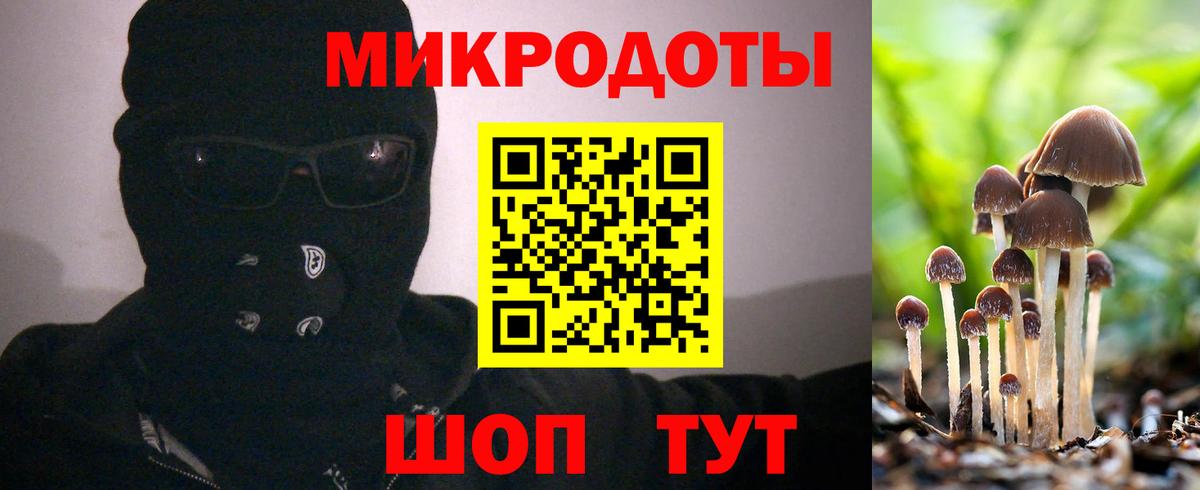 Галлюциногенные грибы Psilocybe  Вход с VPN  Галлюциногенные грибы Cubensis  хочу   Соликамск 